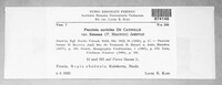 Puccinia caricina image